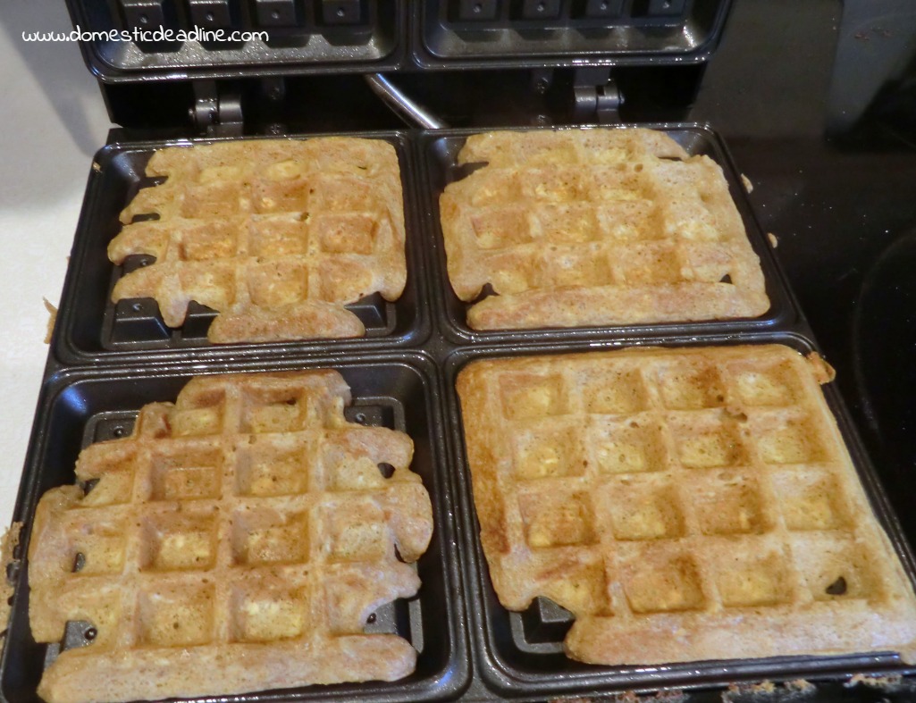 Gluten-Free Overnight Oatmeal Waffles