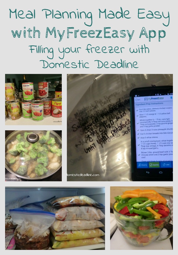 Meal Planning Made Easy with MyFreezEasy App