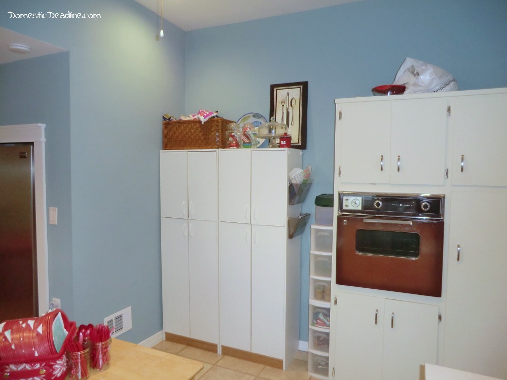 Renovation Realities - Kitchen Before - Follow along as I create my dream farmhouse kitchen - Domestic Deadline