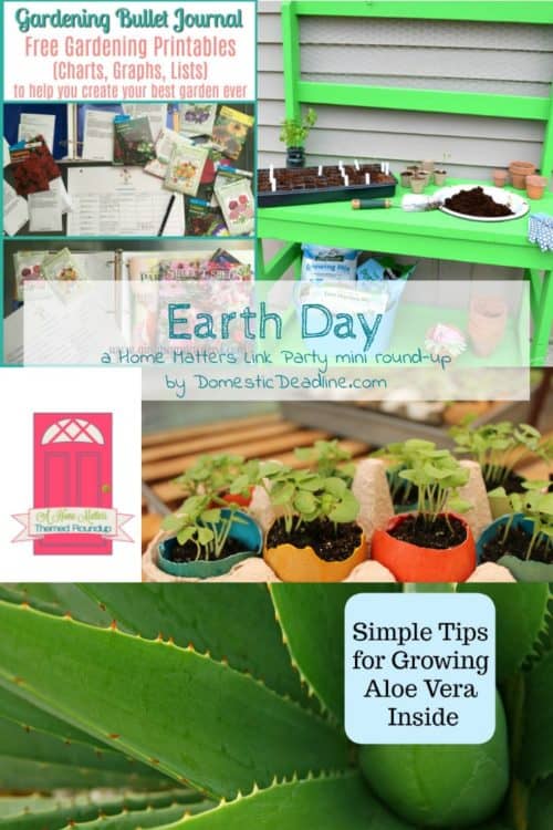 Get ready for Earth Day! Check out our roundup, we've got some great ideas for celebrating our beautiful earth. Plus, link up at Home Matters with recipes, DIY, crafts, decor. Domestic Deadline
