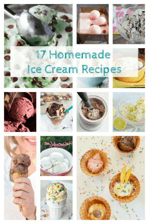 I scream, you scream, we all scream for ice cream! Here's a collection of more than 17 ice cream recipes some with a machine and others no-churn to try www.domesticdeadline.com