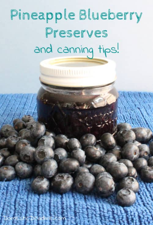 Join the Family Favorite Recipe Blog Hop and check out some old and new recipes including my family inspired Pineapple Blueberry Preserves www.domesticdeadline.com