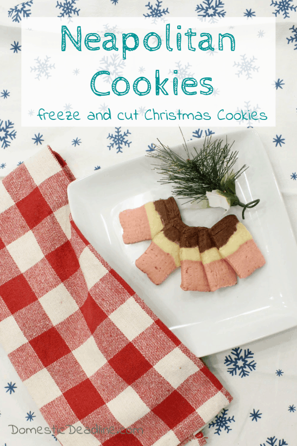 Starting with an old family favorite recipe and one simple change resulted in the Neapolitan Cookies and a new family favorite. 12 Days of Christmas Sweets www.domesticdeadline.com