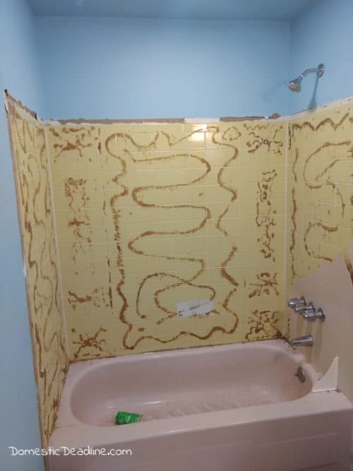 A bathroom renovation is a major undertaking. See where we started and learn why we made some of the selections to reduce mold and allergies. www.domesticdeadline.com
