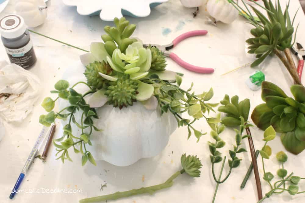 Learn how easy it is to make this quick succulent pumpkin for your fall decor using paint and dollar store supplies. A beautiful addition to any fall decor DomesticDeadline.com