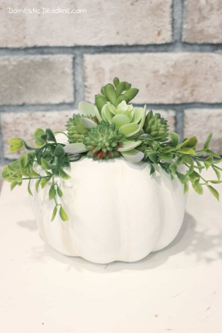 Easy DIY Succulent Pumpkin Fall Decor | HarperNCo