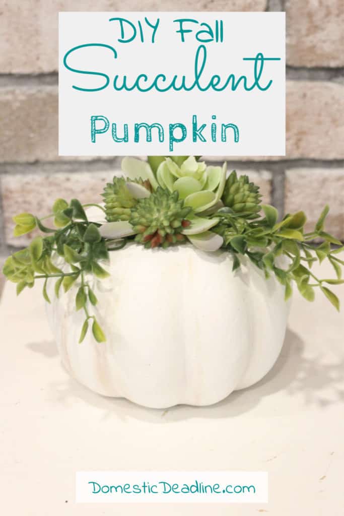 Learn how easy it is to make this quick succulent pumpkin for your fall decor using paint and dollar store supplies. A beautiful addition to any fall decor DomesticDeadline.com