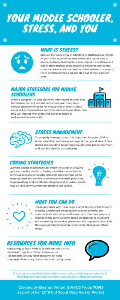 parent Infographic | Domestic Deadline