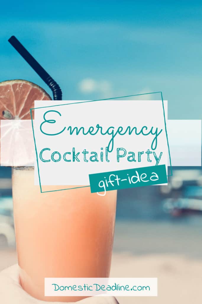 Learn how to put together this fun gift for the person who has everything - an Emergency Cocktail Party kit, just add ice! Includes free printable tags DomesticDeadline.com